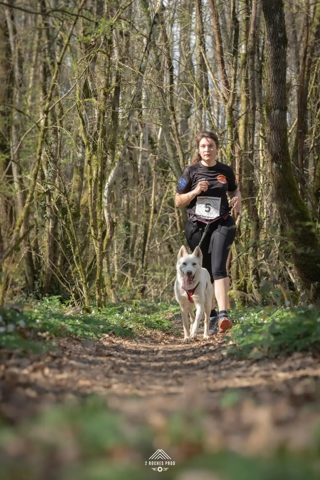 Cani-Cross avec Terre Sauvage