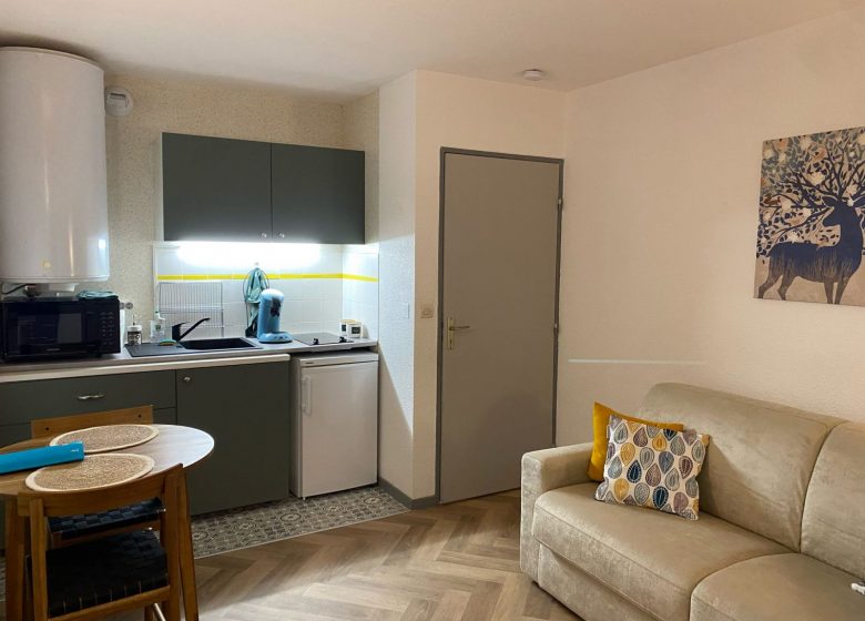 Studio Le Mont Beas-pièce principale