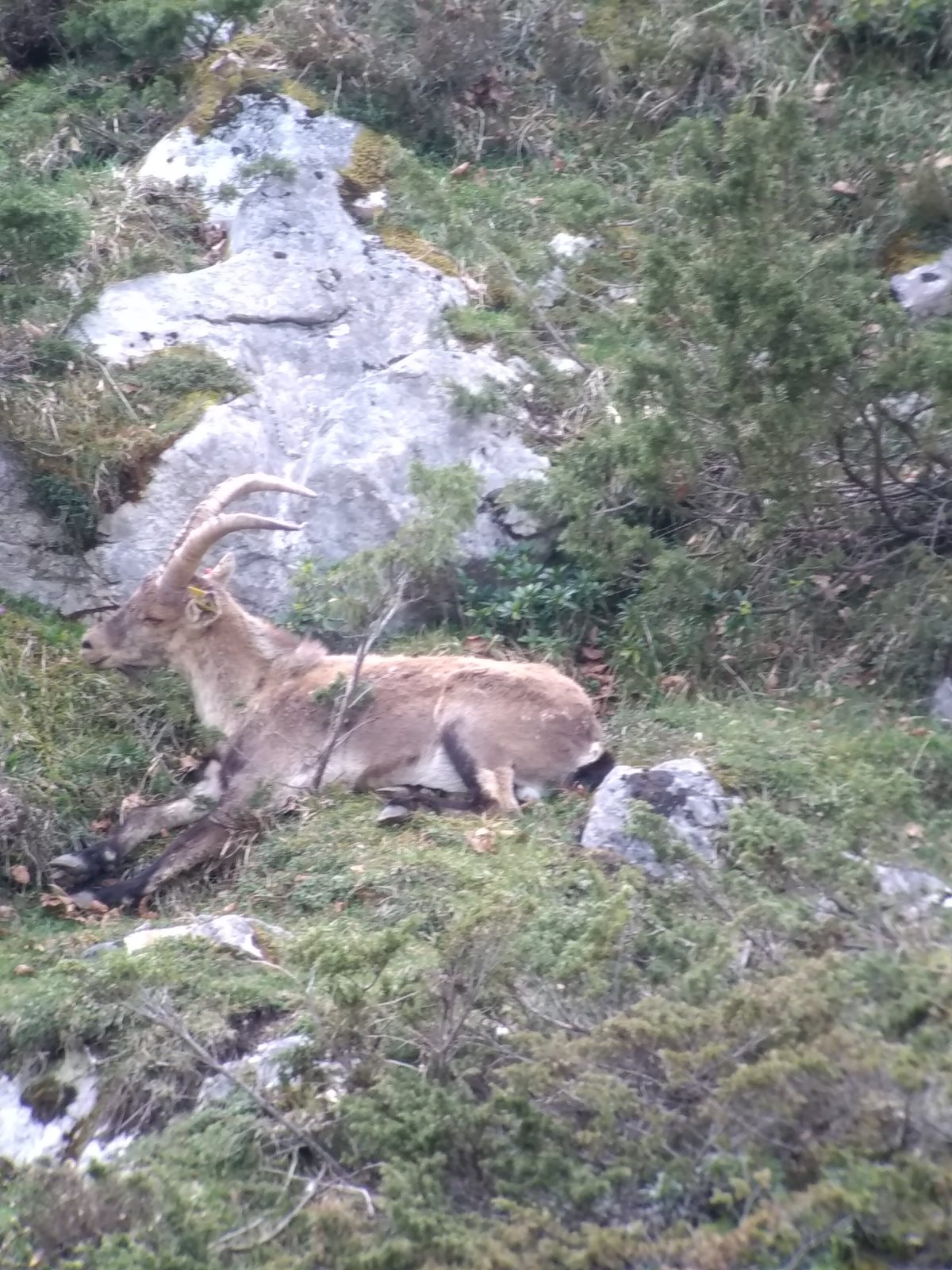 Randonnées naturalistes