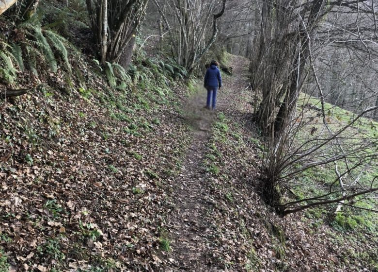 Boucle d’Idrein_Castillon-en-Couserans