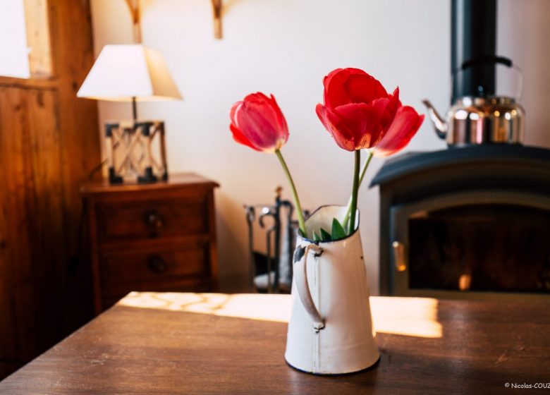 Gîte de Jeanne_Sentein