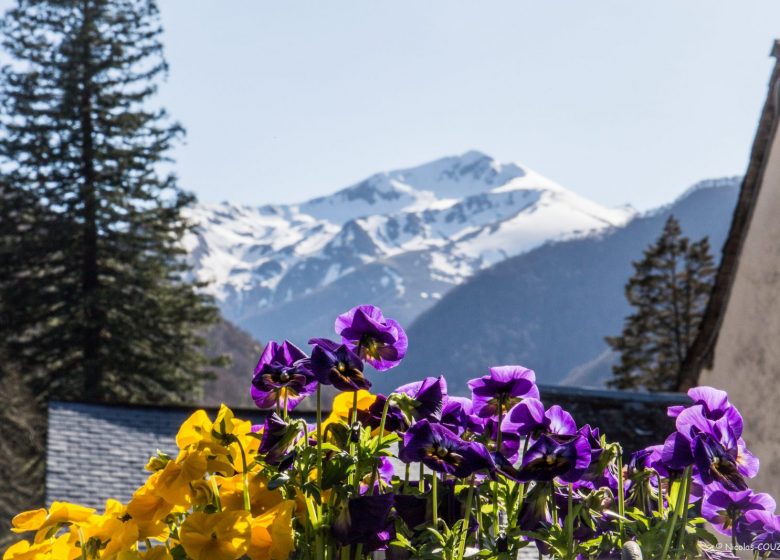 Gîte de Jeanne_Sentein