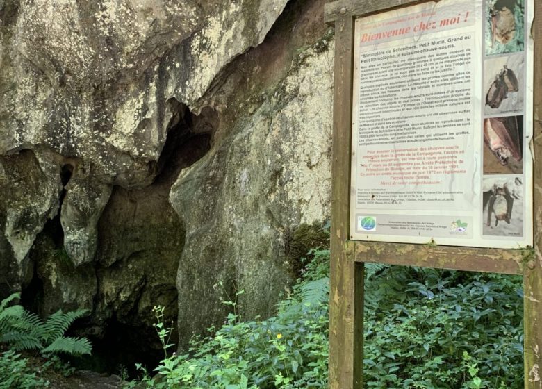 Panneau d’interprétation grottes chemin des diligences