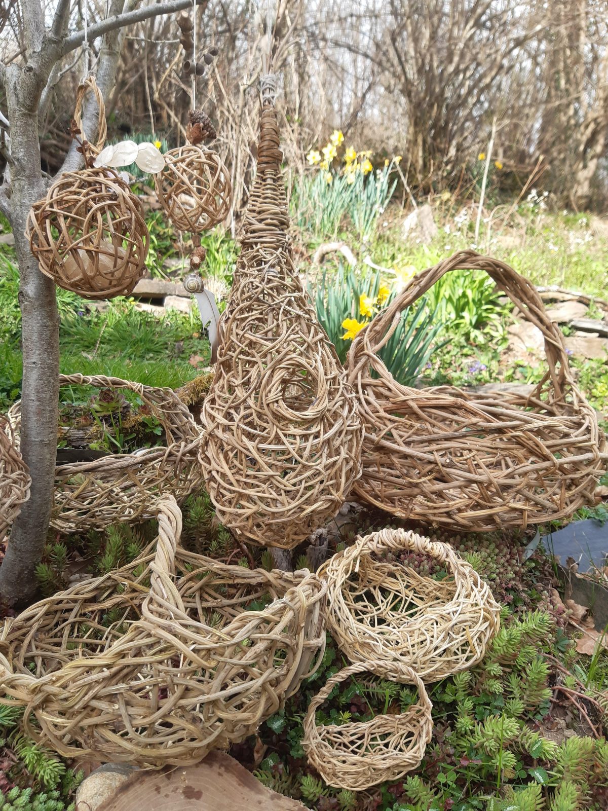 L’atelier sauvage Vannerie sauvage