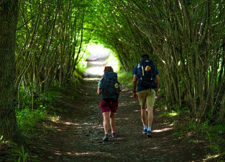 Etape Audressein – Saint-Lary du chemin de St-Jacques – Le Gr®78 : Le chemin du Piémont Pyrénéen_Audressein