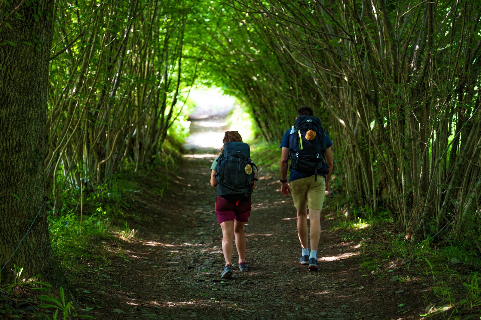 Etape Audressein – Saint-Lary du chemin de St-Jacques – Le Gr®78 : Le chemin du Piémont Pyrénéen