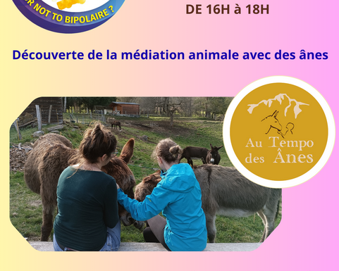 Découverte de la médiation animale avec des ânes