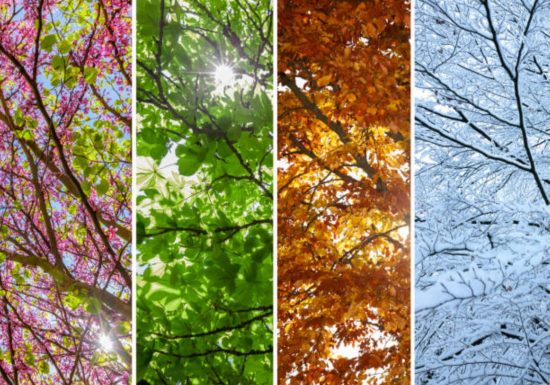 LE FESTIVAL LES 4 SAISONS DE LA BELLONGAISE