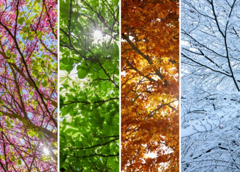 Illustration de l’animation