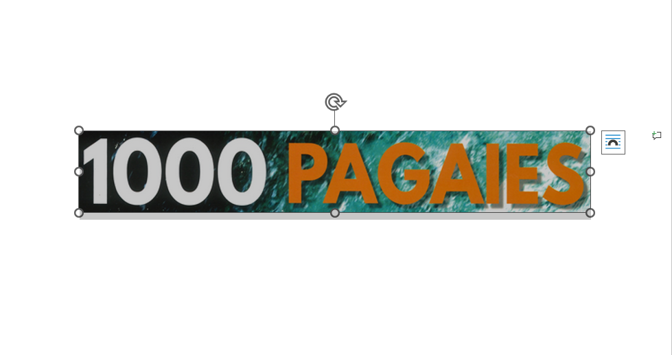 1000 PAGAIES
