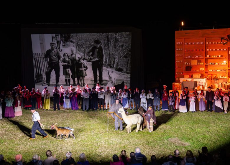 SPECTACLE SON ET LUMIERE_Audressein