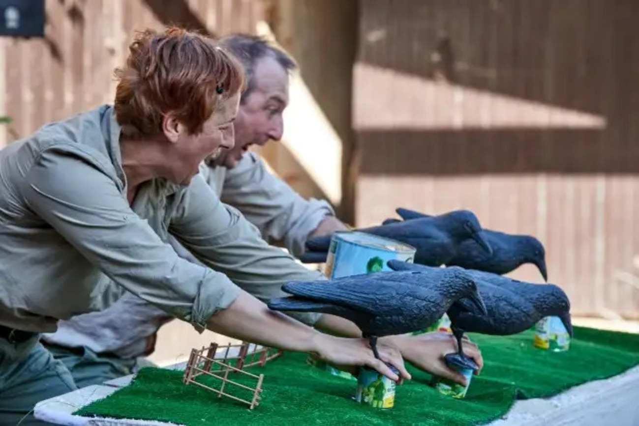 Quand les corbeaux auront des dents – L’Espèce de Compagnie