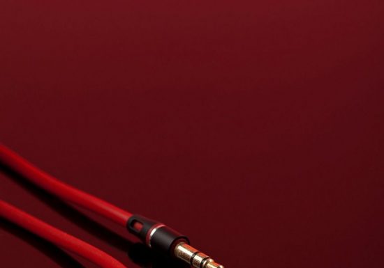 Open Jack au Poulpe du Lac