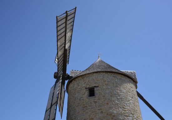 Contes de la grenouille au Poulpe du Lac