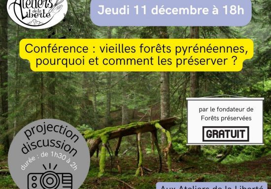 conférence sur les vieilles forêts pyrénéennes