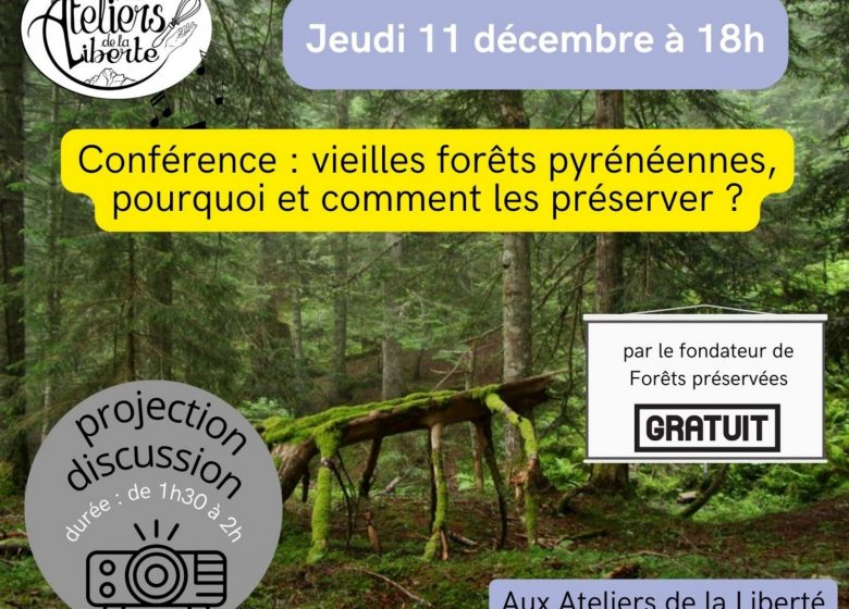 conférence sur les vieilles forêts pyrénéennes_Saint-Girons