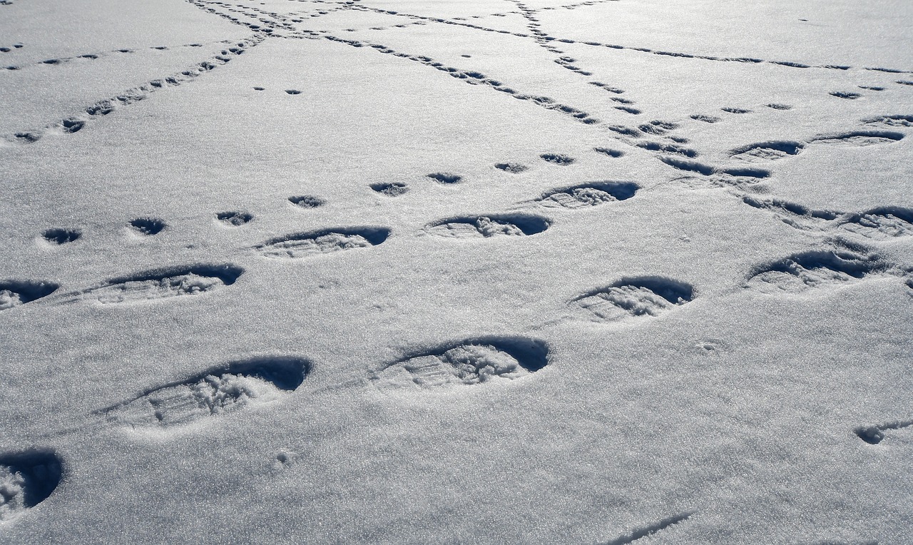 Balade contée nocturne en raquettes