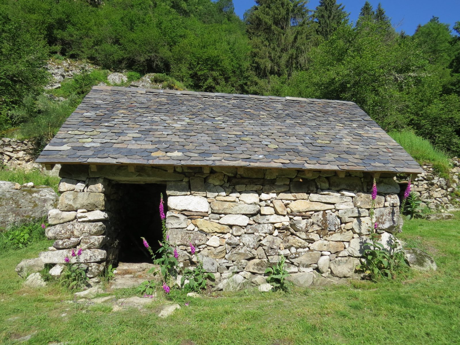 Association pour la sauvegarde du Courtal de Peyre Auselère