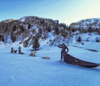 Initiation à la conduite d&rsquo;attelage – Terre Sauvage