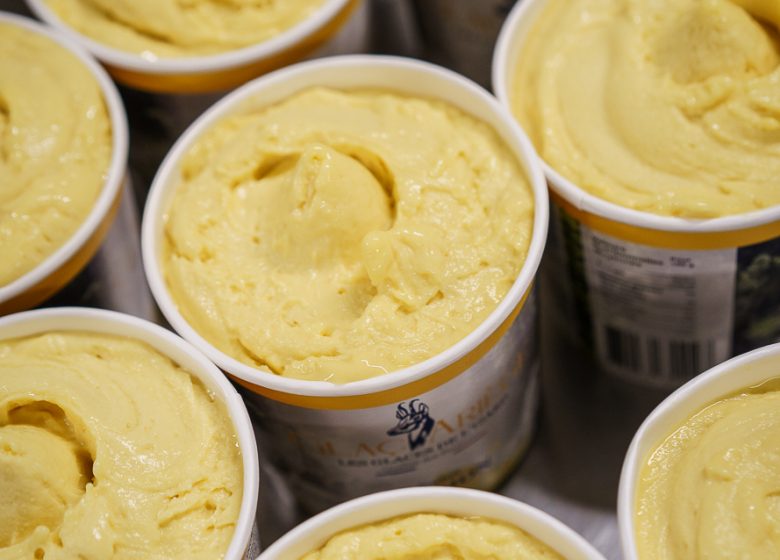 Raphael KANN _SON3518w.jpg