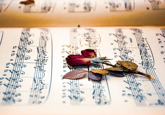 « Thérapie lyrique » avec l’ensemble Brin de voix