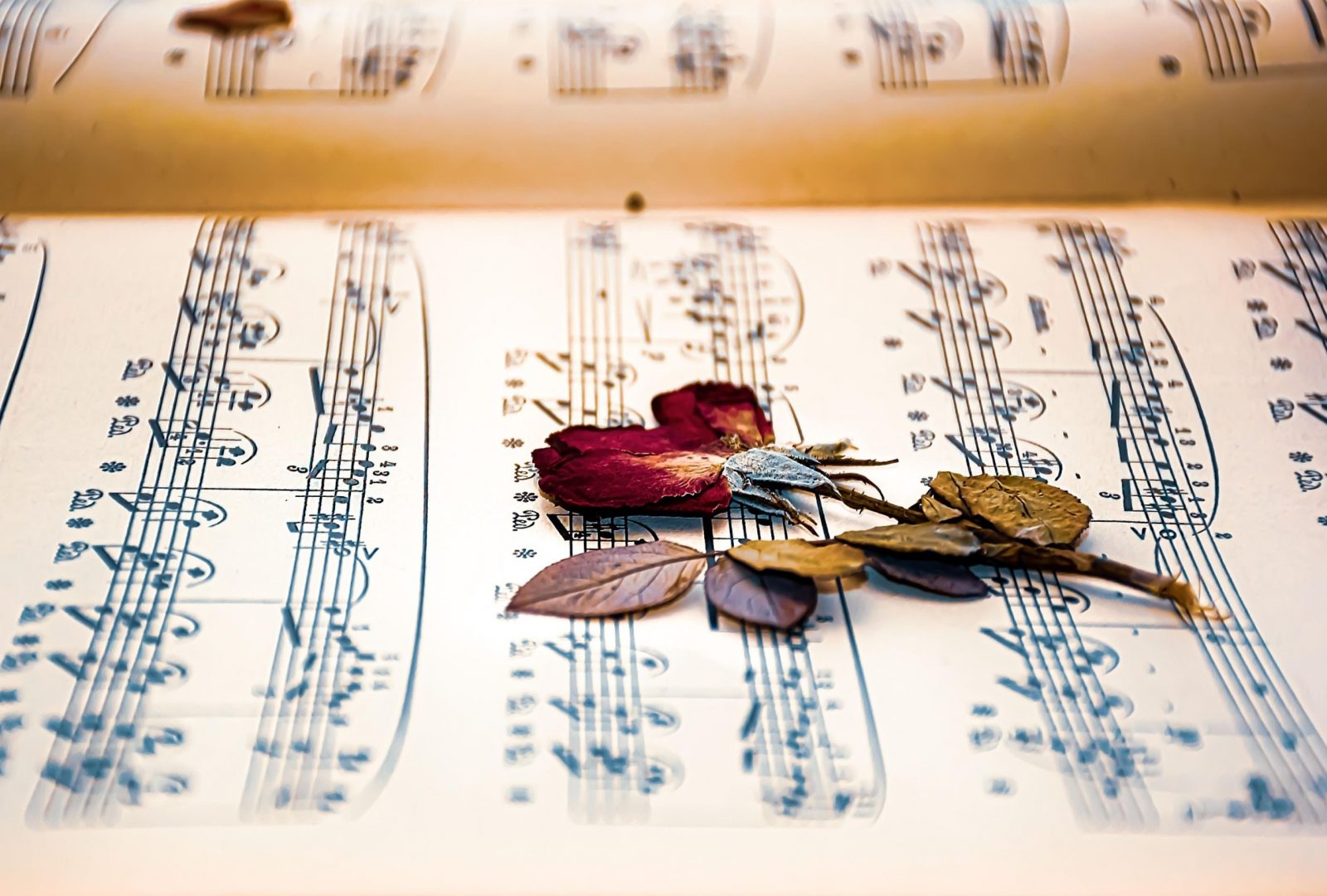 « Thérapie lyrique » avec l’ensemble Brin de voix