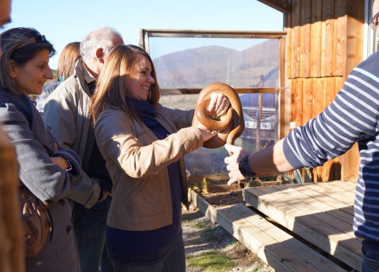 la ferme des reptiles
