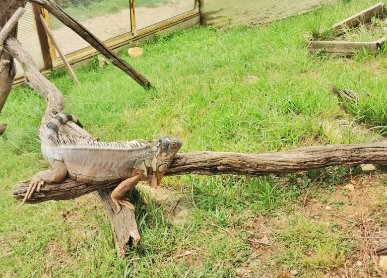 la ferme des reptiles