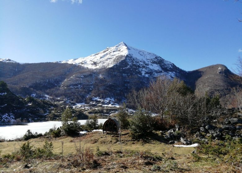 Appartement n°1 de Mme Coutanceau_Massat