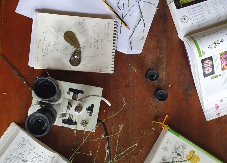 20250829_174659 (1).jpg