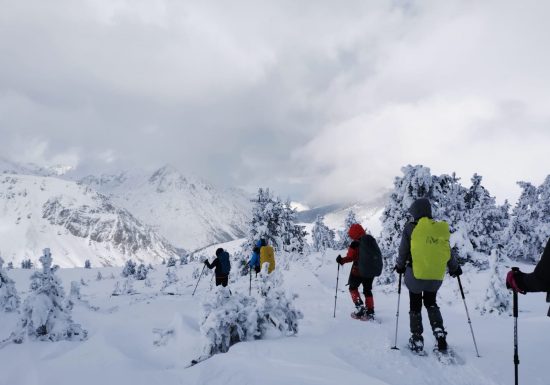 Pyrénées Paradise – Raquette