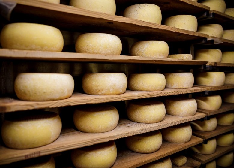 Fromages et saveurs des Pyrénées ariégeoises_Saint-Girons