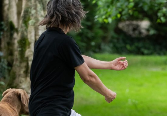 Sortie de résidence publique de DD Dorvillier et son équipe aux Bazis