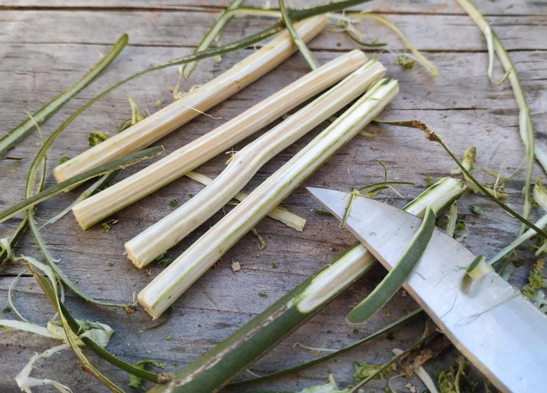 Matériel d&rsquo;artiste