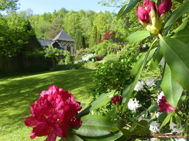 Gîte Les Glycines_Oust