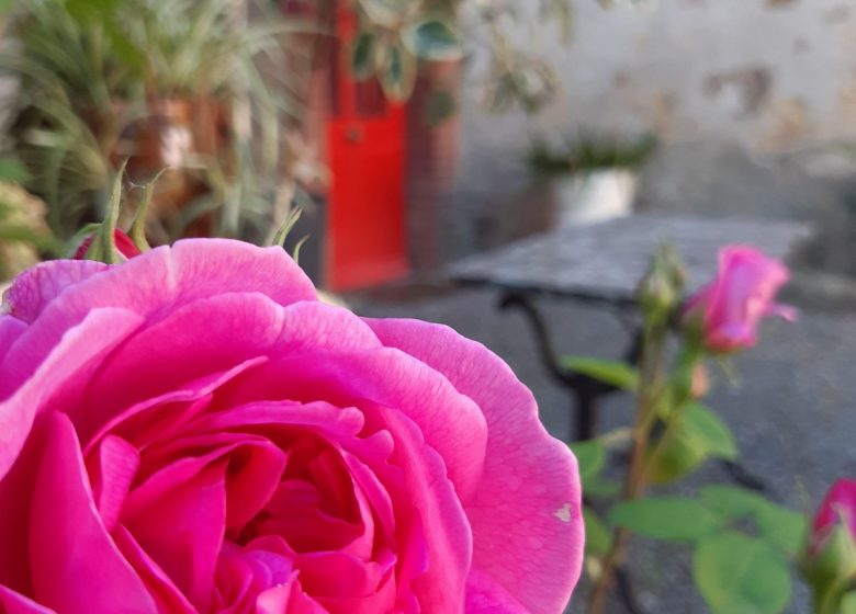 20250514_105701 – Copie – Copie.jpg