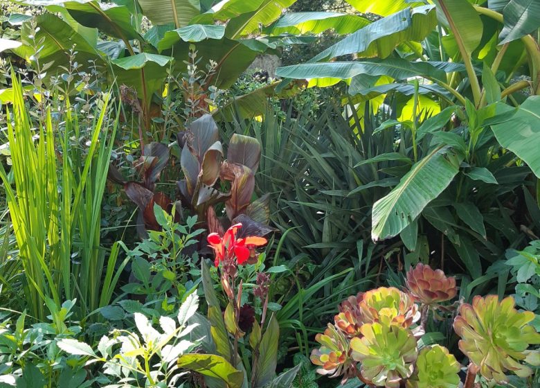 20250918_114327 – Copie – Copie.jpg