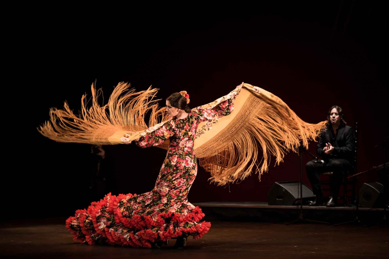 Spectacle  » Tablao Flamenco »