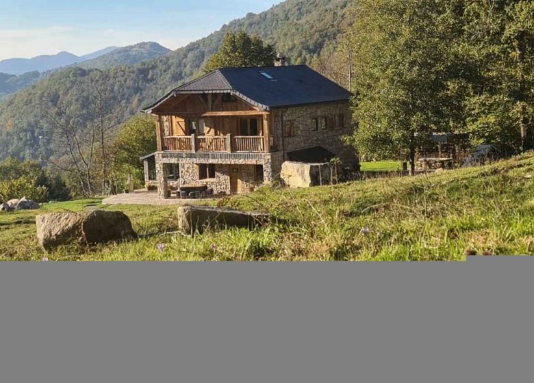 La cachette des grenouilles