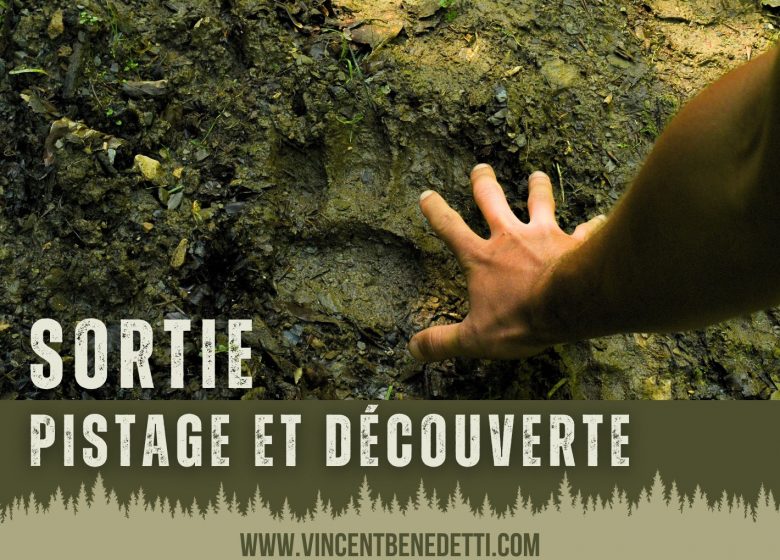 Tracking and Discovery Outing