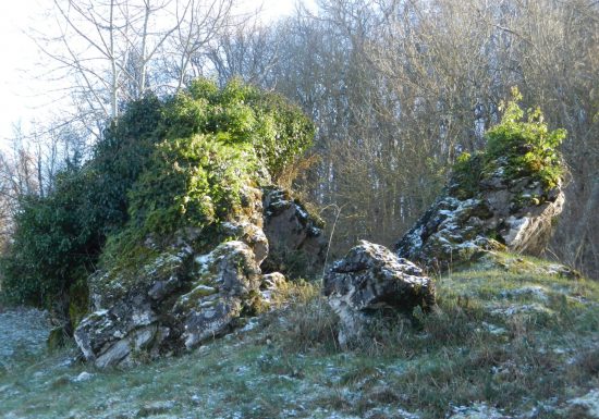 Découverte d’un site classé: préhistoire, géologie, paysages faune et flore