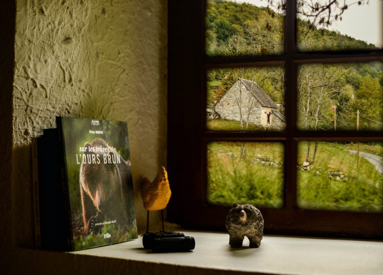 Annonce 1 Vue de l&rsquo;int .jpg