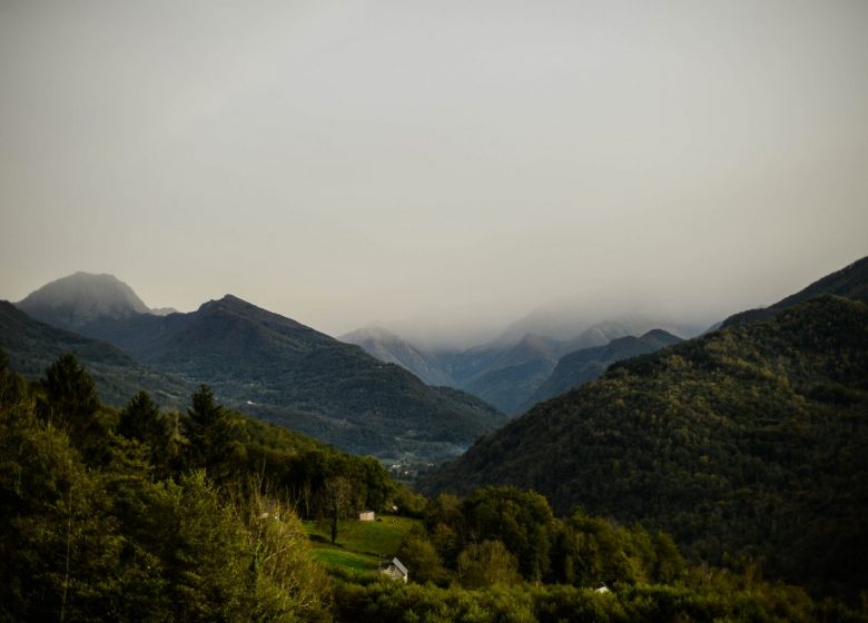 Annonce 6 vue village.jpg