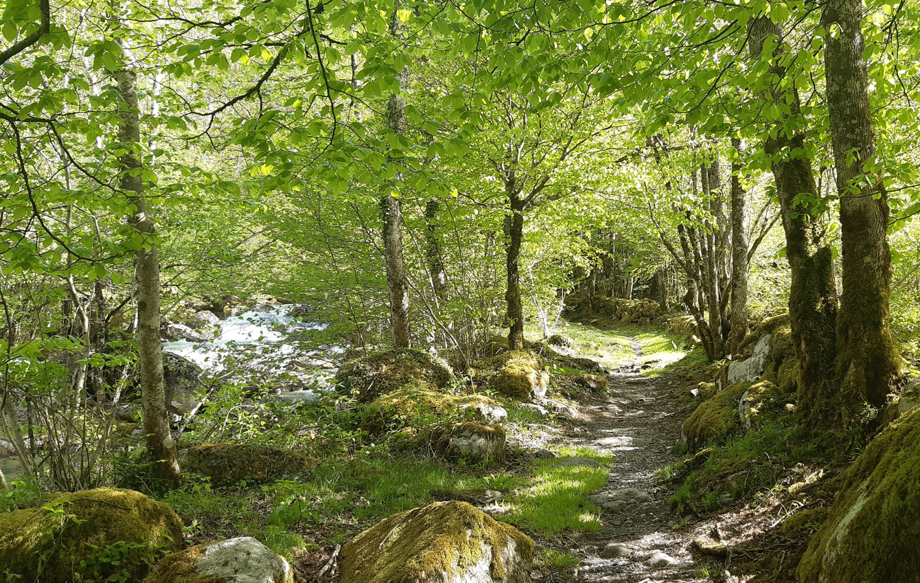 Parcours B – Pas d&rsquo;Enfer