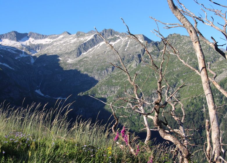 Parcours I – Tour de cabanatous_Aulus-les-Bains