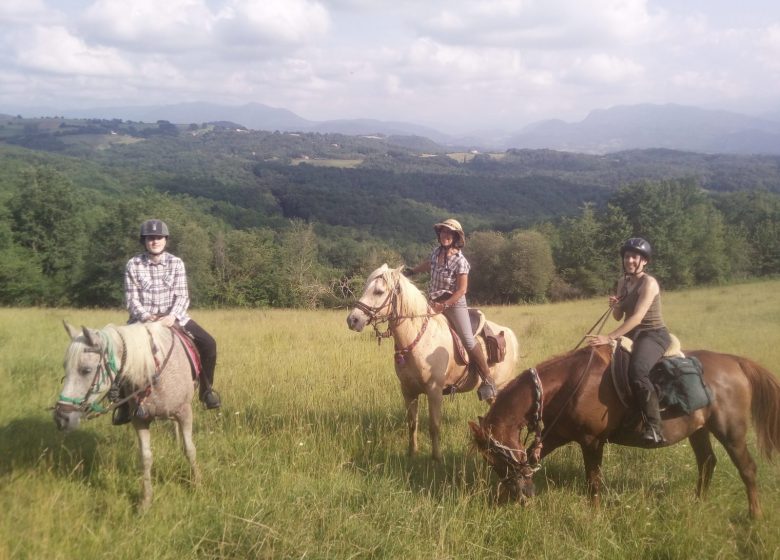 Gaec des 3 Pierres