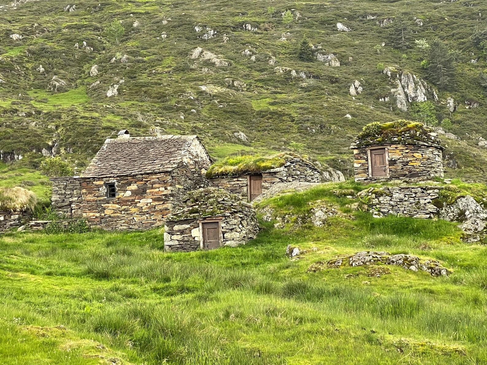 Découverte du patrimoine pastoral en altitude