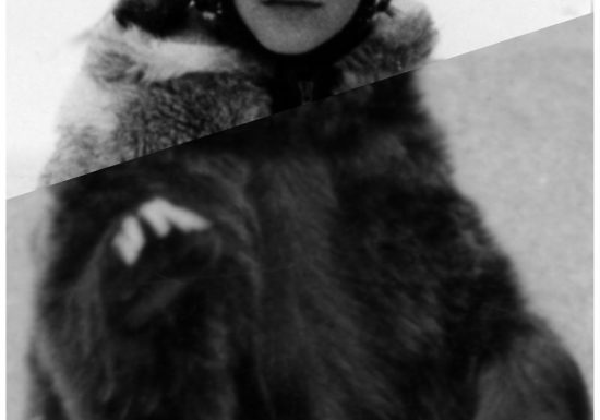 Expositions de printemps