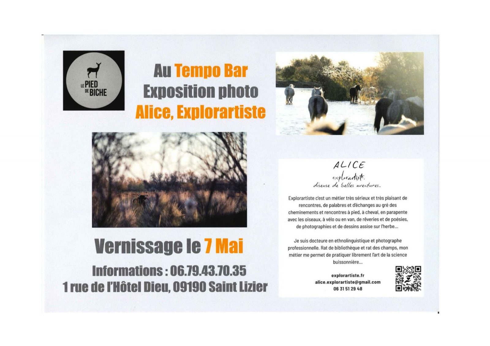Exposition « Alice, explorartiste »