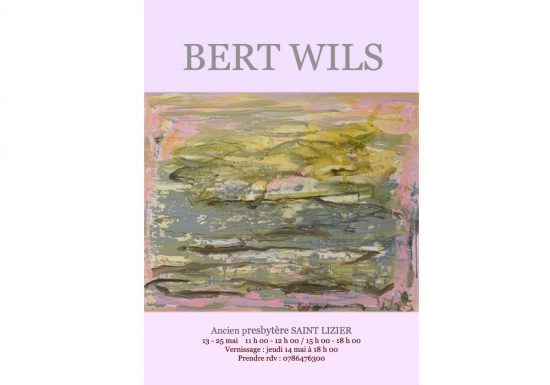 Exposition « Entre peinture et Paysage » de Bert Wils